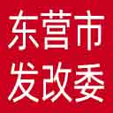 东营市发改委网站图标