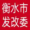 衡水市发改委网站图标