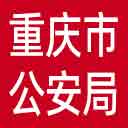 重庆市公安局网站图标