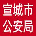 宣城市公安局网站图标