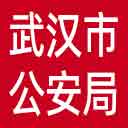 武汉市公安局网站图标