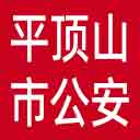 平顶山市公安局网站图标