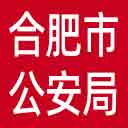 合肥市公安局网站图标