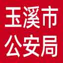 玉溪市公安局网站图标