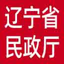 辽宁省民政厅网站图标