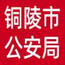 铜陵市公安局网站图标