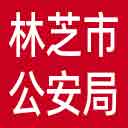 林芝市公安局网站图标