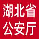 湖北省公安厅网站图标