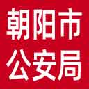 朝阳市公安局网站图标