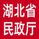 湖北省民政厅网站图标